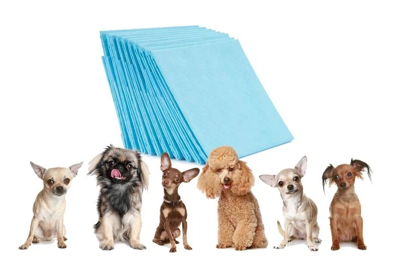 essentials-training-pads16128053689