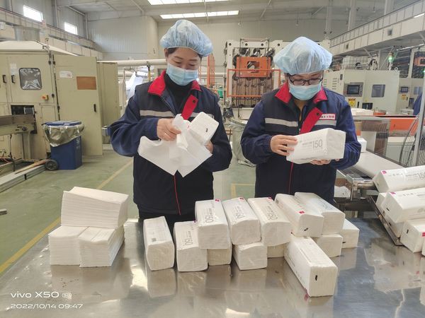 380800892_206445219116991_1459606298620399506_n