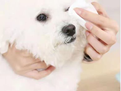 Dog Eye Wipes for Remove Tears