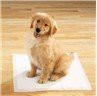 What are the benefits of using Outdoor Puppy Pad for pets?